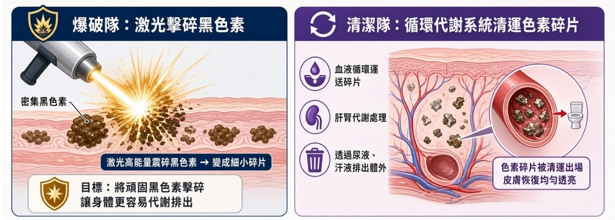 循環不暢如何成為祛斑的絆腳石